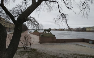 В Петербурге зафиксировали самое холодное 27 апреля в этом веке