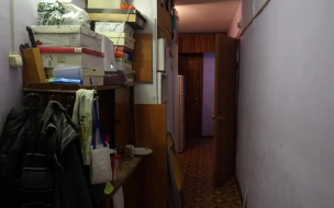 Бизнесмен прописал в квартире в центре Петербурга 810 иностранцев