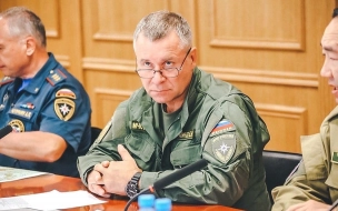 СМИ узнали подробности гибели главы МЧС России в Норильске