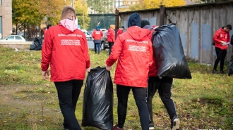 В Центральном районе посадили кустарники и очистили стены зданий от надписей