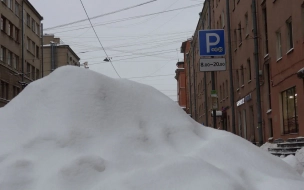 Этой зимой в Петербурге работают 18 снегоплавильных пунктов