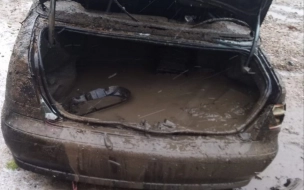 В Ленобласти спасатели вытащили из реки Волхов затонувший автомобиль