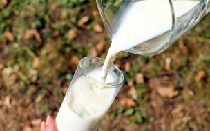 Эксперт рассказал о подделке молока на прилавках Петербурга