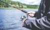 Названы лучшие дни для летней рыбалки в Ленобласти