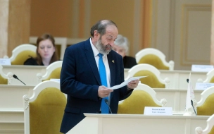 Макаров прокомментировал участие в выборах троих Вишневских