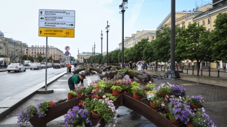 На Сенной площади садовники высадили 2,5 тысячи цветов