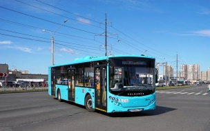 Петербуржцев предупредили об изменении графика работы автобуса №154