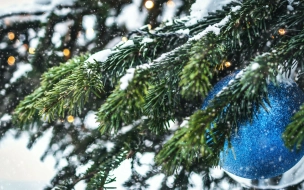 Морозно и снежно будет в Петербурге 22 декабря