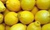 Жителям Петербурга и Ленобласти за год скормили почти 100 тысяч тонн лимонов