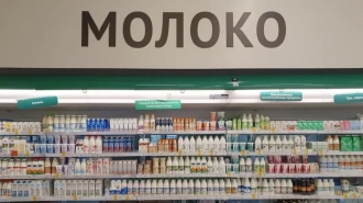 За месяц из магазинов Петербурга изъяли 16 тыс. просроченных молочных продуктов