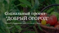 Ленинградские НКО получили федеральный грант на огород