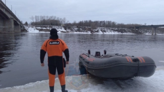 С железнодорожного моста в реку Волхов упал мужчина