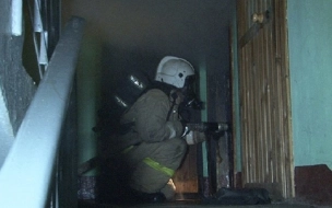 В пожаре на улице Чудновского погибли женщина и ребенок
