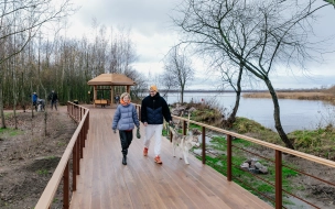 Фермский парк и сквер на берегу Глухарки стали победителями престижной премии в области ландшафтной архитектуры