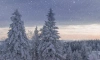 В Ленобласти с 12 по 15 января ожидаются сильные морозы, гололедица и метель