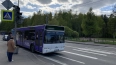 Петербуржцам рассказали о работе городских автобусных ...