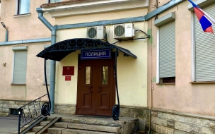 Еще один флаг разорвали на юге Петербурга