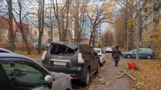 Спасатели Петербурга совершили 39 выездов из-за шторма