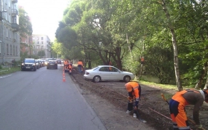 В Петербурге конкретизировали понятие "газон"