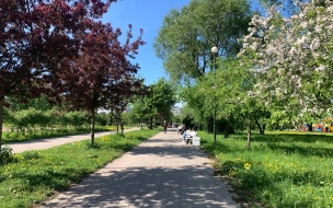 Промежуточный гребень антициклона принесет в Петербург небольшое потепление