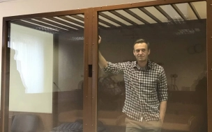 Адвокаты Навального получили текст приговора по клевете на ветерана
