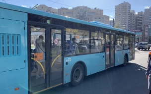 В Санкт-Петербурге расширят право на бесплатный проезд для детей из многодетных семей и студентов