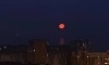 Небо над Петербургом окрасила "кровавая" луна