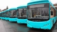 Петербург получил еще 48 новых автобусов