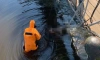 В реке Охте  обнаружили тело мужчины