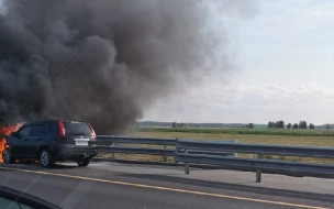 На трассе М-11 в Петербурге сгорел "Ниссан"