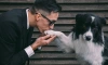 Пёс Хьюстон набирает сотни тысяч лайков в TikTok
