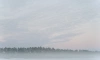 В Ленобласти в четверг ожидается туман