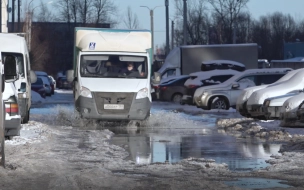 В понедельник в Петербурге будет +3 и небольшие осадки