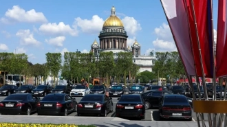 Липовый сад у Мариинского дворца оценили в 101 млн рублей