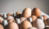 Генпрокурор поручил проверить производителей и продавцов яиц