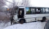Перевозчик окажет помощь пассажирам маршрутки, которые пострадали в ДТП в Пушкинском районе