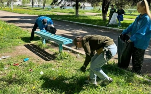 Более 400 тысяч человек стали участниками субботников в Ленобласти