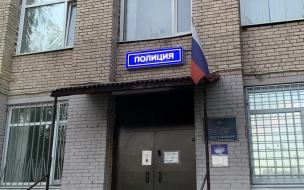 Петербургская полиция задержала поджигателя дачного дома под Лугой