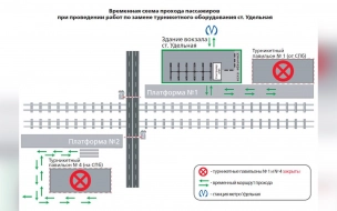 Турникеты станции "Удельная" заменят в Петербурге