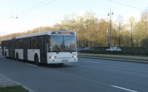 В Петербурге на девятый день после Пасхи увеличат количество автобусов до кладбищ