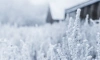 В Ленобласти 27 января ожидается морозная погода