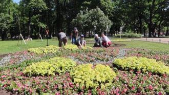 Специалисты дали положительную оценку летнему озеленению Петербурга в условиях жары