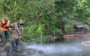 В Выборге продолжается очистка бухты Радуга