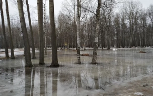 Вышедший из берегов Волхов затопил несколько деревень
