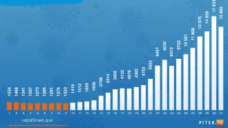 Как менялась коронавирусная статистика в январе 2022 года