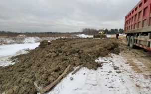 Госэконадзор Ленобласти обнаружил в Усть-Луге незаконное размещение грунтов