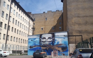  Автор граффити на Васильевском острове выступила за упрощение процедуры согласования с КГА