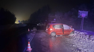 В аварии на "Нарве" пострадали водитель и пассажиры Nissan