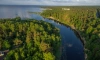 Дирекции особо охраняемых природных территорий Петербурга исполнилось 20 лет