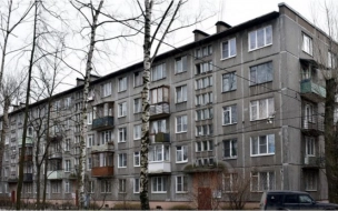 В Петербурге реновацию приостановили до 1 января 2024 года